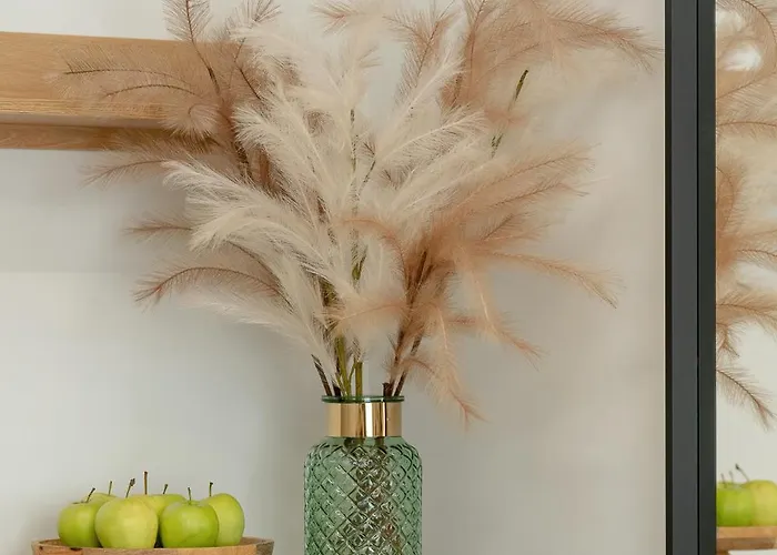 Latte - Centrum Plac Wolnosci 6 - Kramm Apartment *